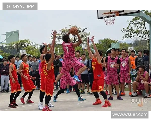 杭州篮球队实力分析:联赛表现与未来发展展望