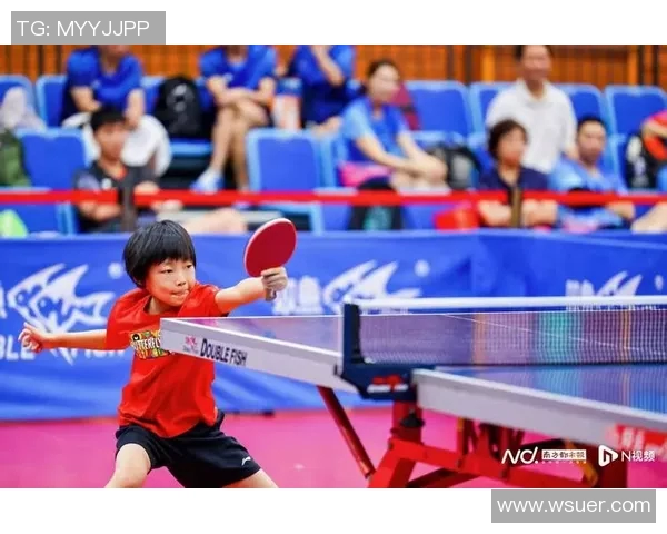 热议乒乓球：杭州乒乓球队如何通过配合变革提升整体实力与竞技水平